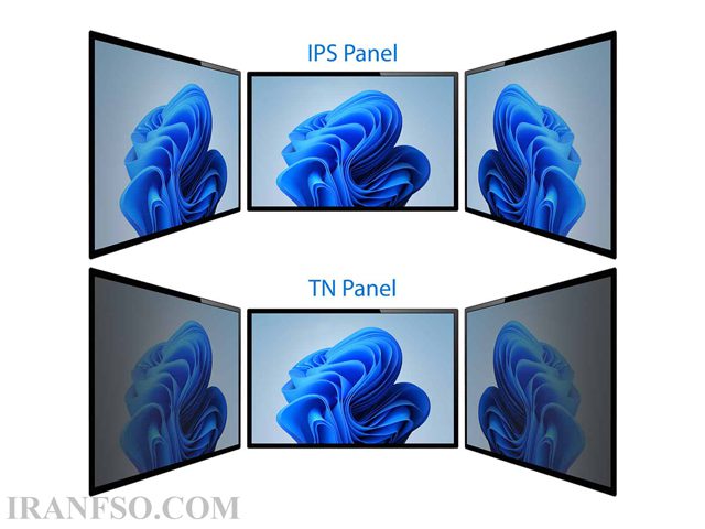 IPS vs TN