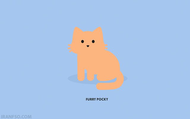 Tabby Cat