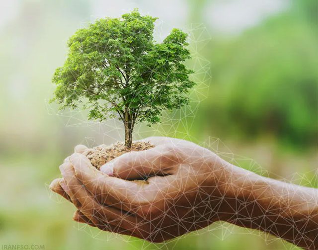 تمرکز بر پایداری محیطزیستNEAR