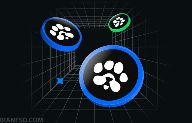 توکن PAWS