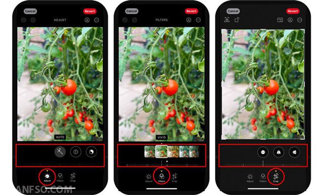 Built-in iPhone editor