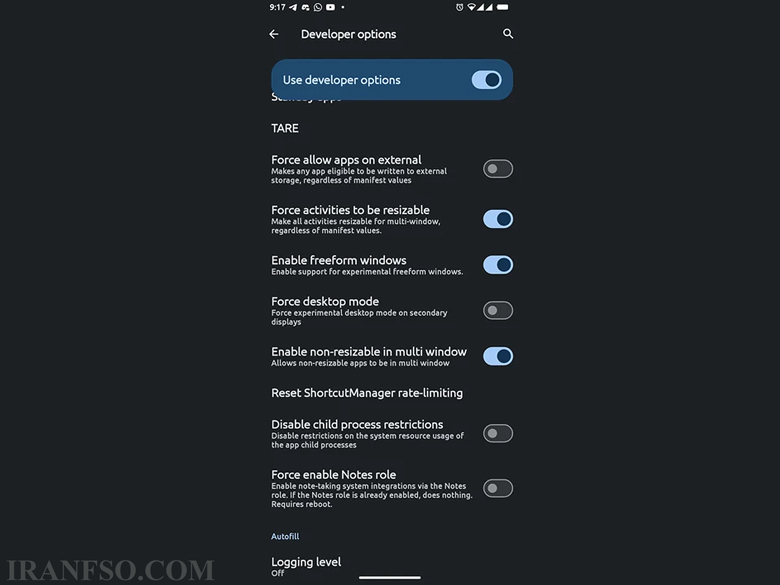 گزینهDeveloper Options