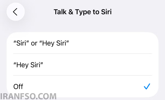 وارد بخش Talk & Type to Siri شوید.