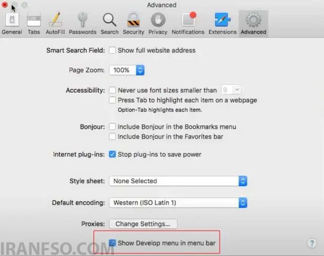 گزینه Show Develop menu in menu bar را فعال کنید.