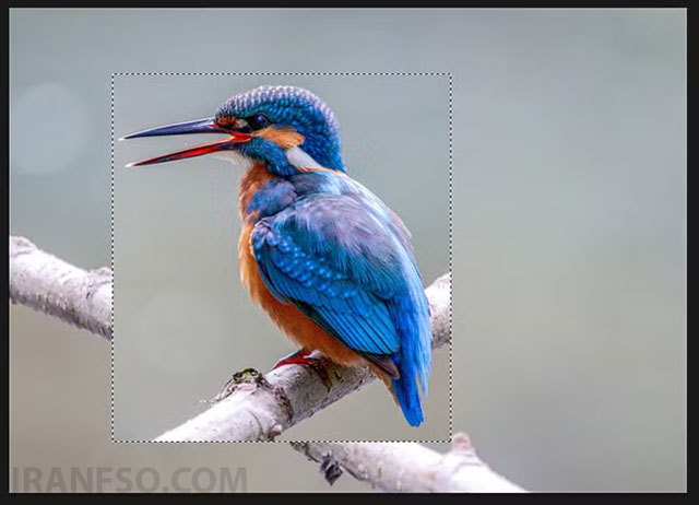 اجرای دستور Transform