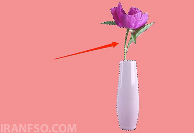 انتخاب سوژه اصلی تصویر