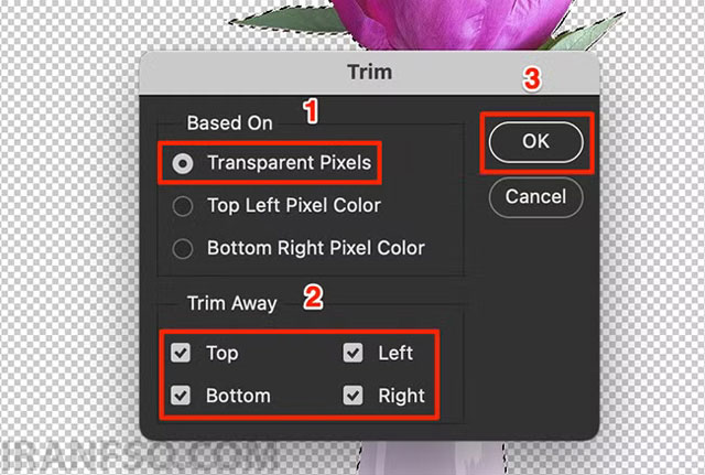 Transparent Pixels