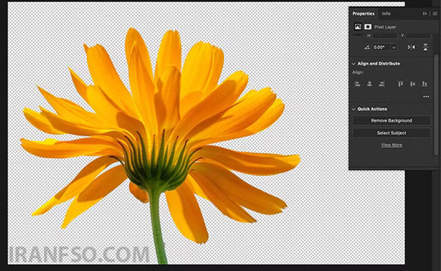 فتوشاپ در چند ثانیه سوژه اصلی را شناسایی کرده و پسزمینه را حذف میکند.