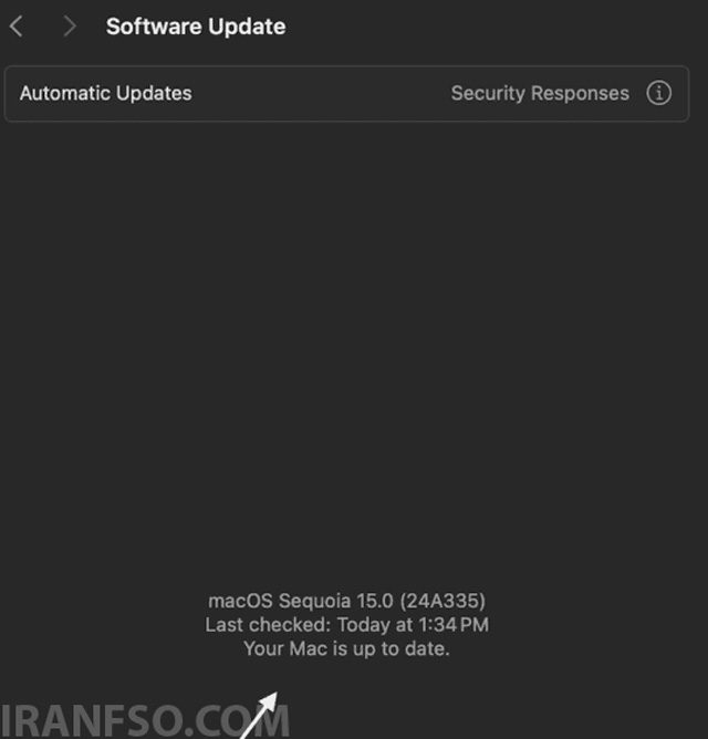 Software Update