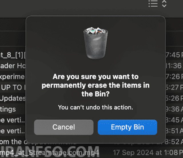 Empty Bin