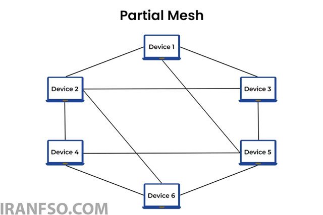 Partial Mesh (مش جزئی)