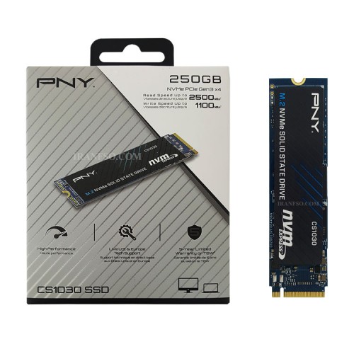 هارد SSD لپ تاپ 250 گیگابایت PNY M.2 NVME 2280_CS1030 یکسال گارانتی افق