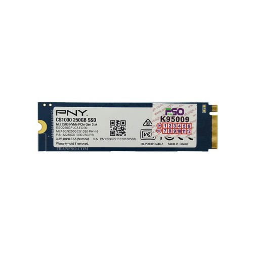 هارد SSD لپ تاپ 250 گیگابایت PNY M.2 NVME 2280_CS1030 یکسال گارانتی افق