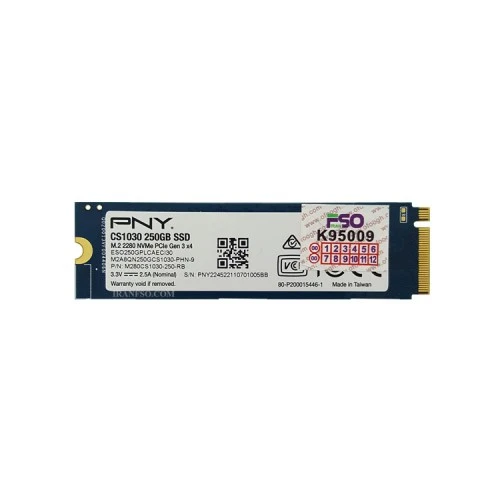 هارد SSD لپ تاپ 250 گیگابایت PNY M.2 NVME 2280_CS1030 یکسال گارانتی افق