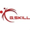 جی اسکیل G.SKILL