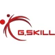 جی اسکیل G.SKILL